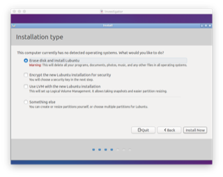 Lubuntu Installation Type Selections